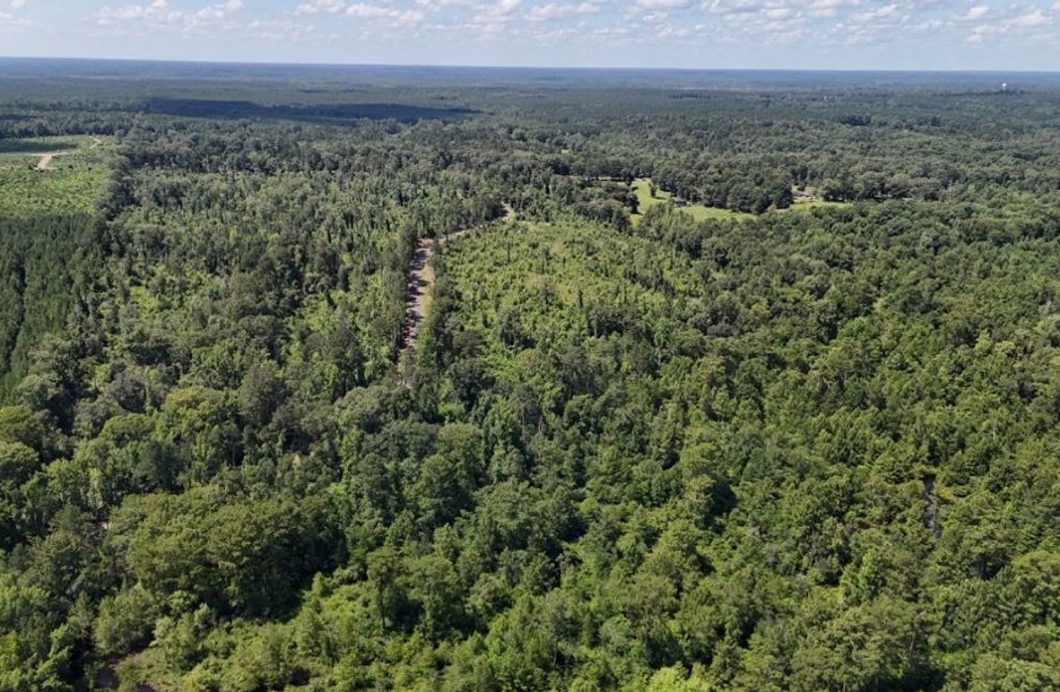 DJI_20250625002234_0664_D(1)