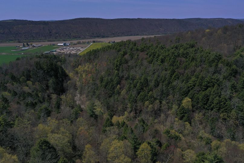 DJI_0720