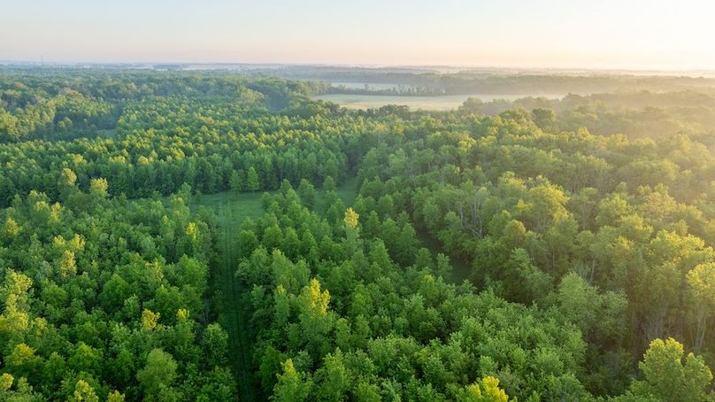 DJI_20250514053130_0016_D