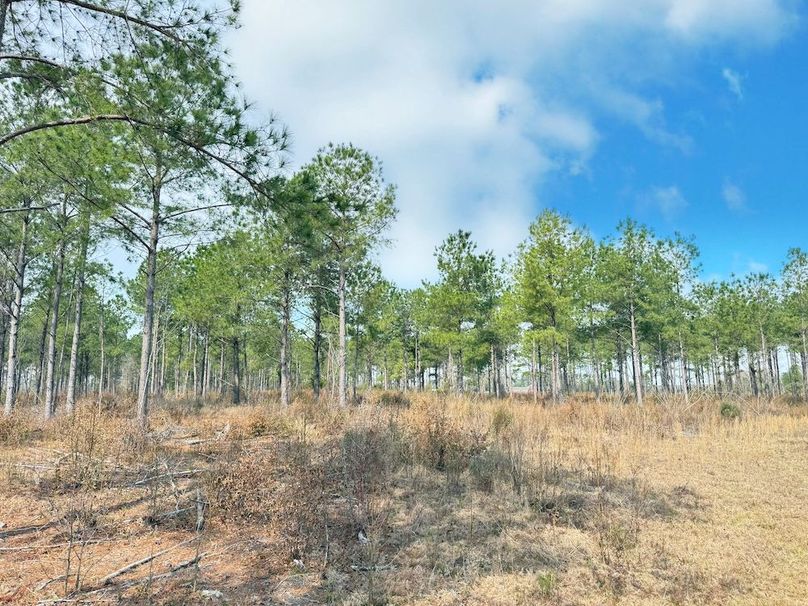 11A11B7B-3DA0-43B5-BA1E-20E61B55E626