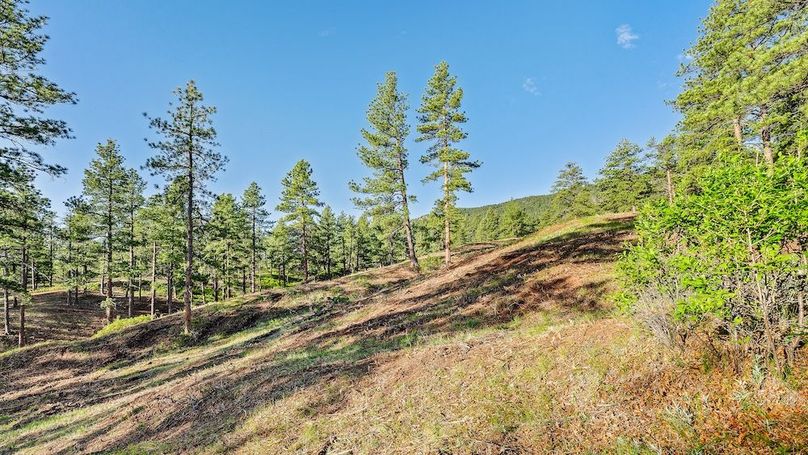 034 - Adjacent Openspace