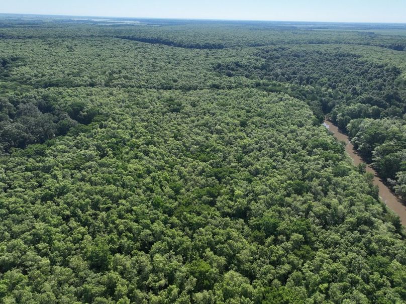 dji_fly_20260513_101956_435_1778687602010_photo