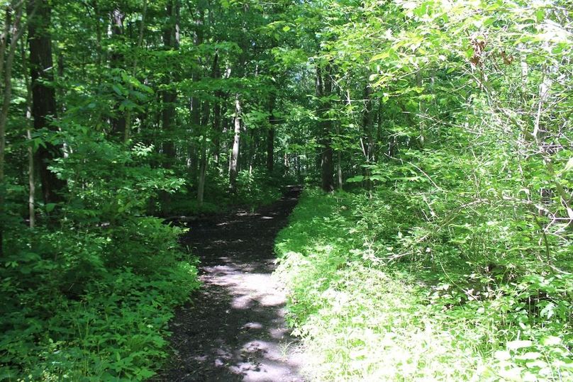 trail 17