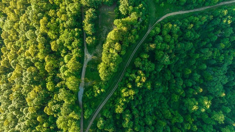 Wetzel WV 171 Featured_Pro Photo-74