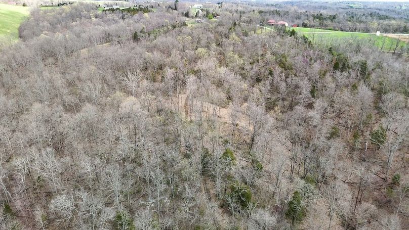 DJI_20250401122225_0046_D