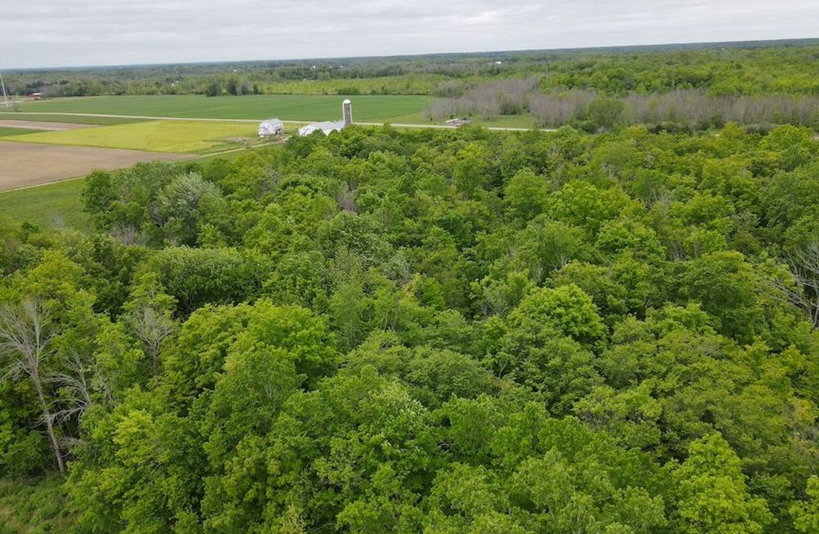 5 dji_fly_20250531_173258_27_1748727191950_photo