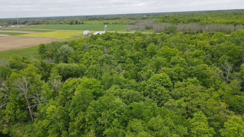 5 dji_fly_20250531_173258_27_1748727191950_photo