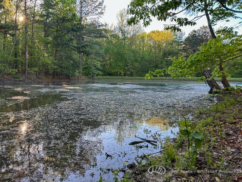 Hinds Co - 51 - Hughes-82