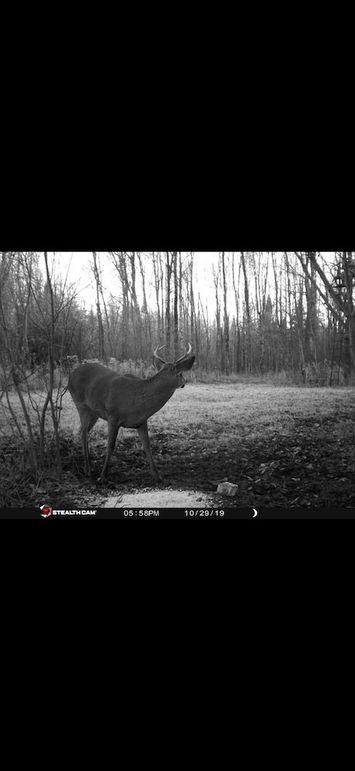 IMG_1420