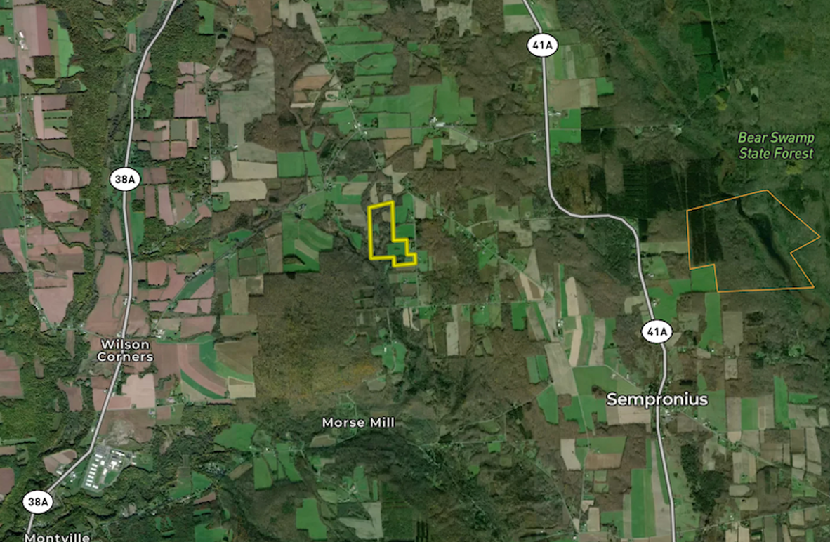 Cayuga_55.02_Herman Map 4