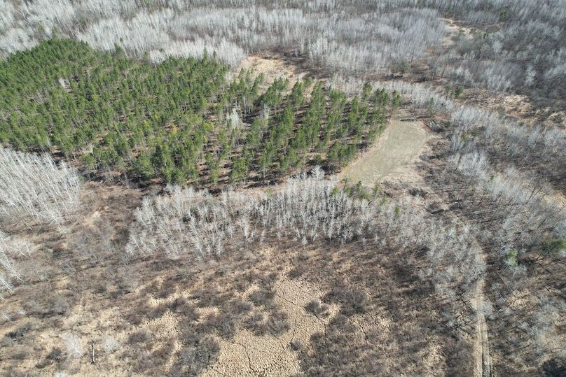 dji_fly_20260415_161326_158_1776288014251_photo