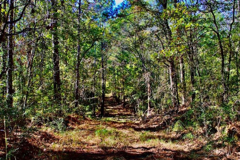 49F88106-DB19-4E1F-A493-8A9AB3B6520D_1_105_c