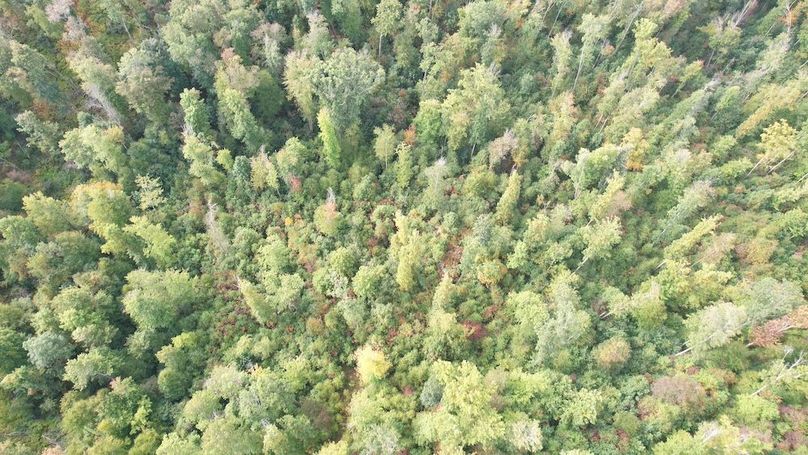 dji_fly_20240919_101004_684_1726755201490_photo