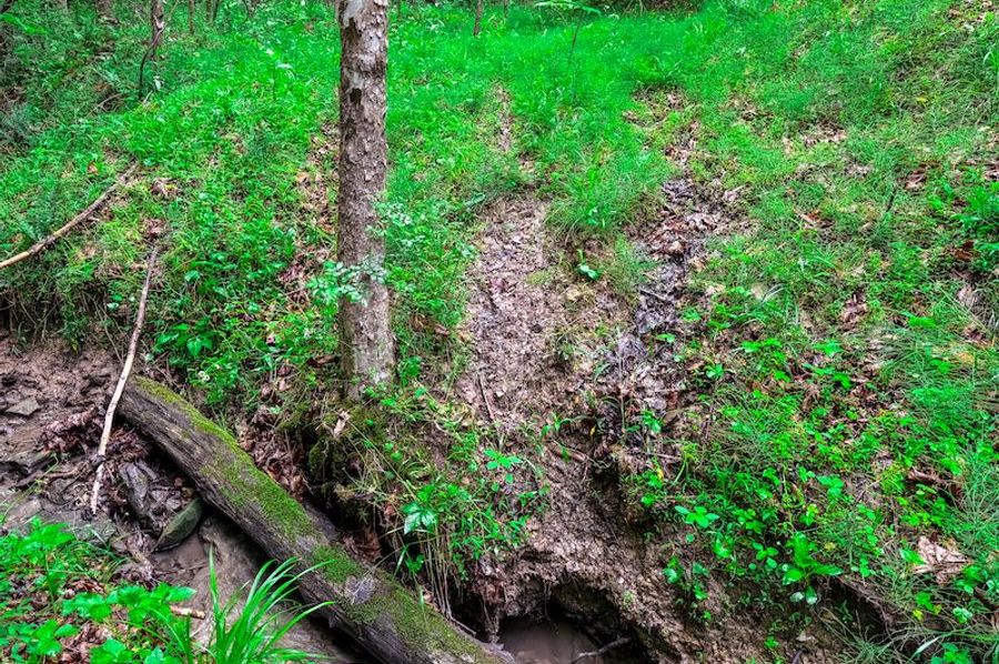 Ritchie, WV 50.5 AC Brown-02