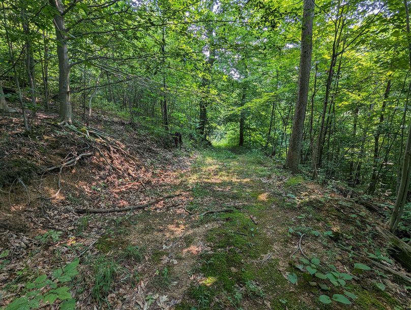 PXL_20230801_153404437