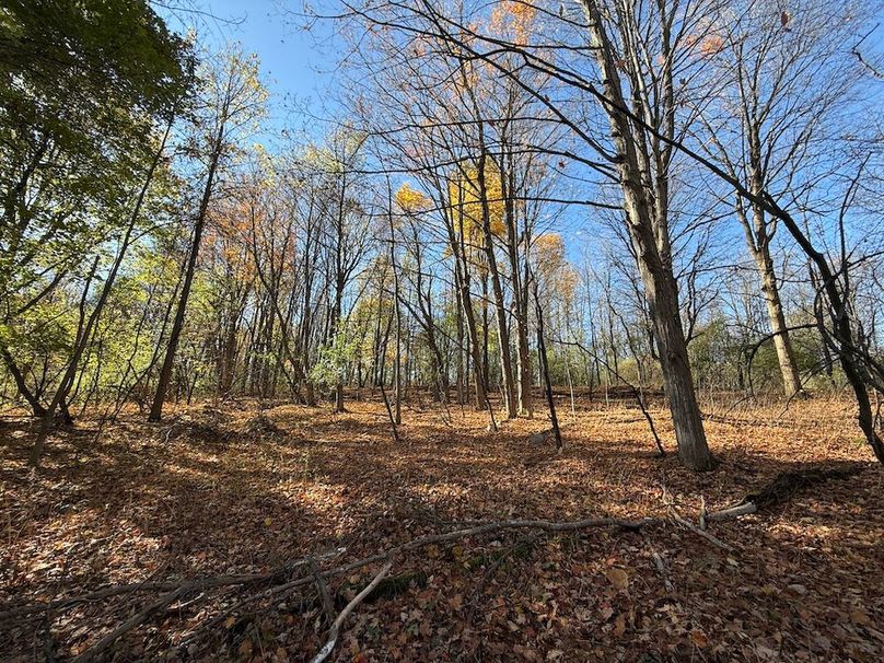 Wayne_18.11_Koehler Photo 29