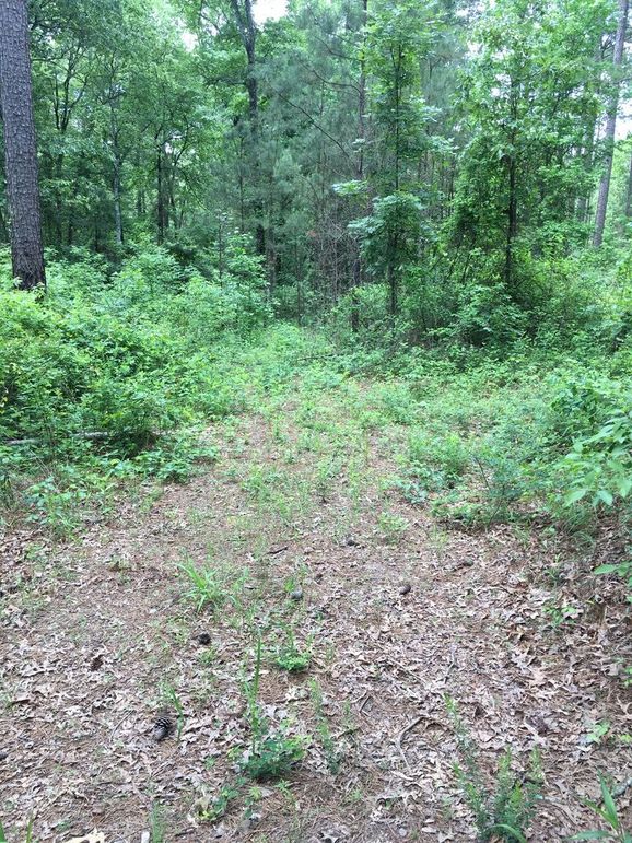 AF522BD7-C108-4773-A2D1-5F031F23E262_1_105_c