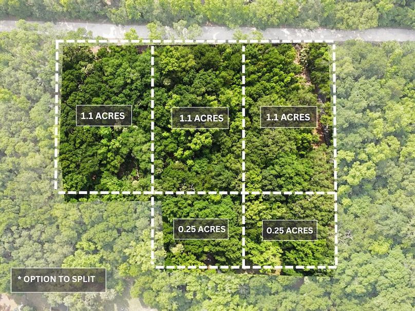 1.01ac, Citrus, Josiah Ronco23