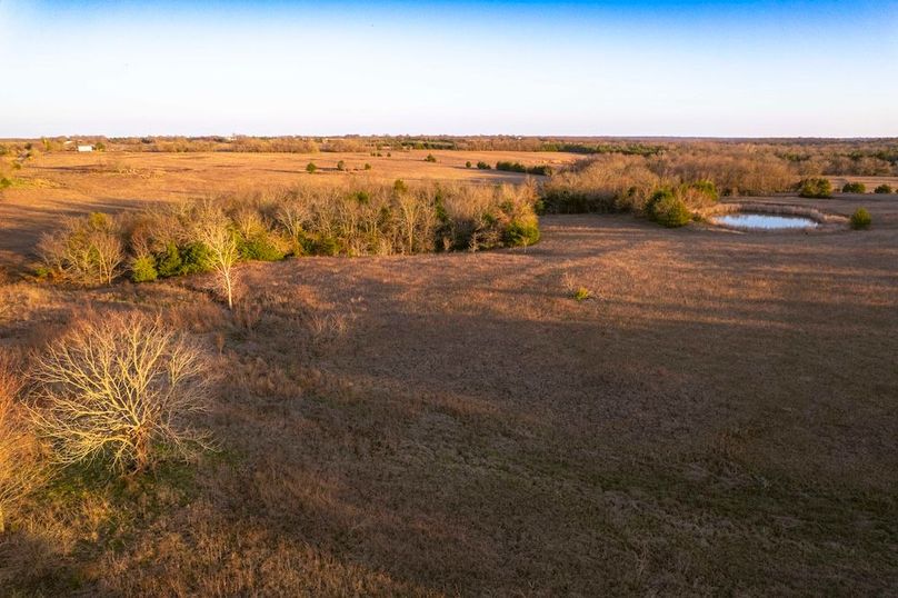 Lamar County 76.5 acres (19 of 23)