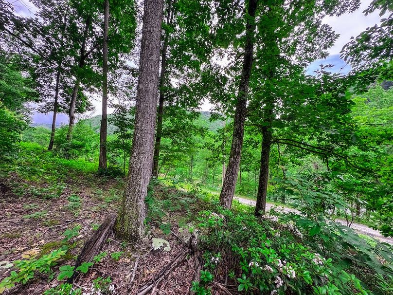 Clay, WV 14.839 AC-11