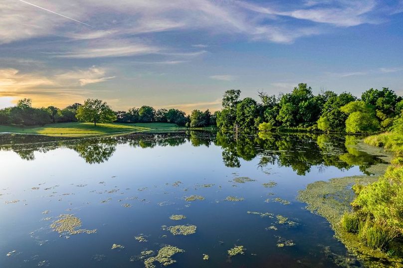 Fannin County- 134.4 acres-38