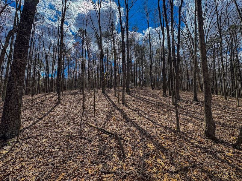 Wirt, WV 62.5 AC Full-07