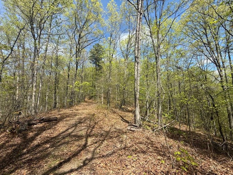 033 trail leading up the main point towards the north boundary
