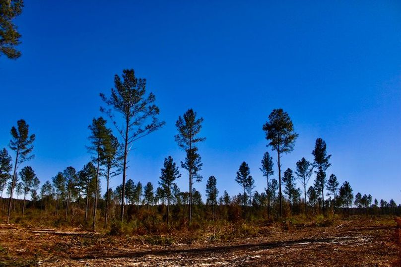 AF291771-4C35-4D68-985D-048C6661EE80_1_201_a