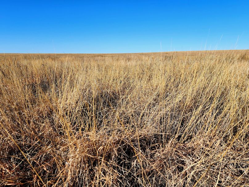 Copy of 20230208_090705