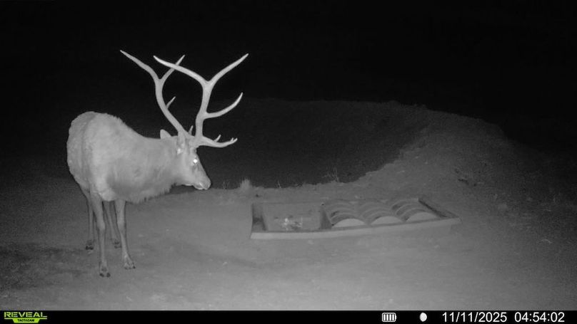 016578004267347-100-2-11112025045402-V-SYFW00607