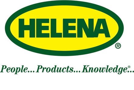 Helena_logo copy