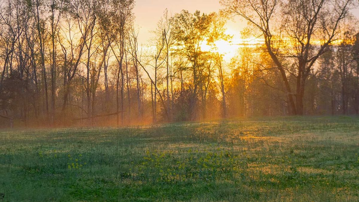 List Property Whitetail Properties