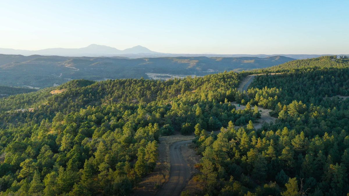 Idaho Land for Sale Land for Sale in Idaho Whitetail Properties