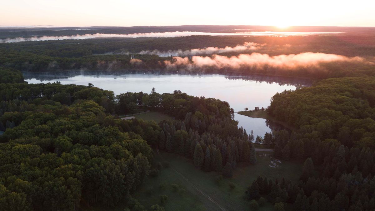 Michigan Land for Sale Whitetail Properties