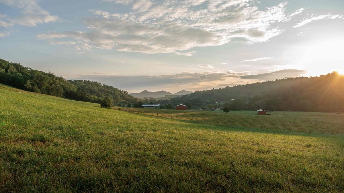 Minnesota Land for Sale Whitetail Properties