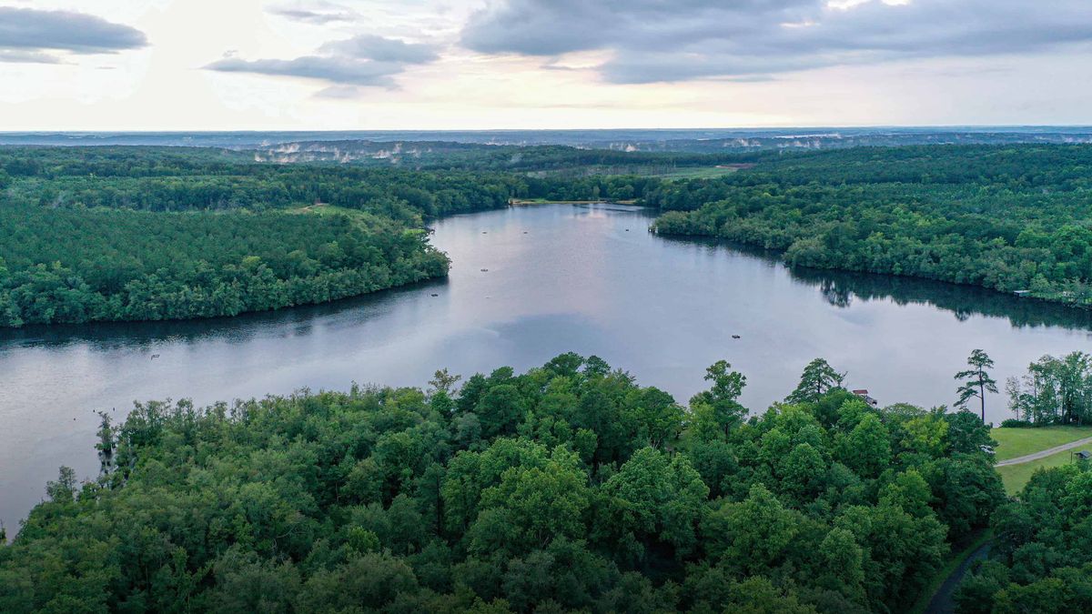 Land for Sale NC Whitetail Properties