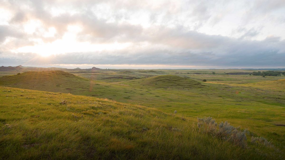 Land For Sale in North Dakota Whitetail Properties