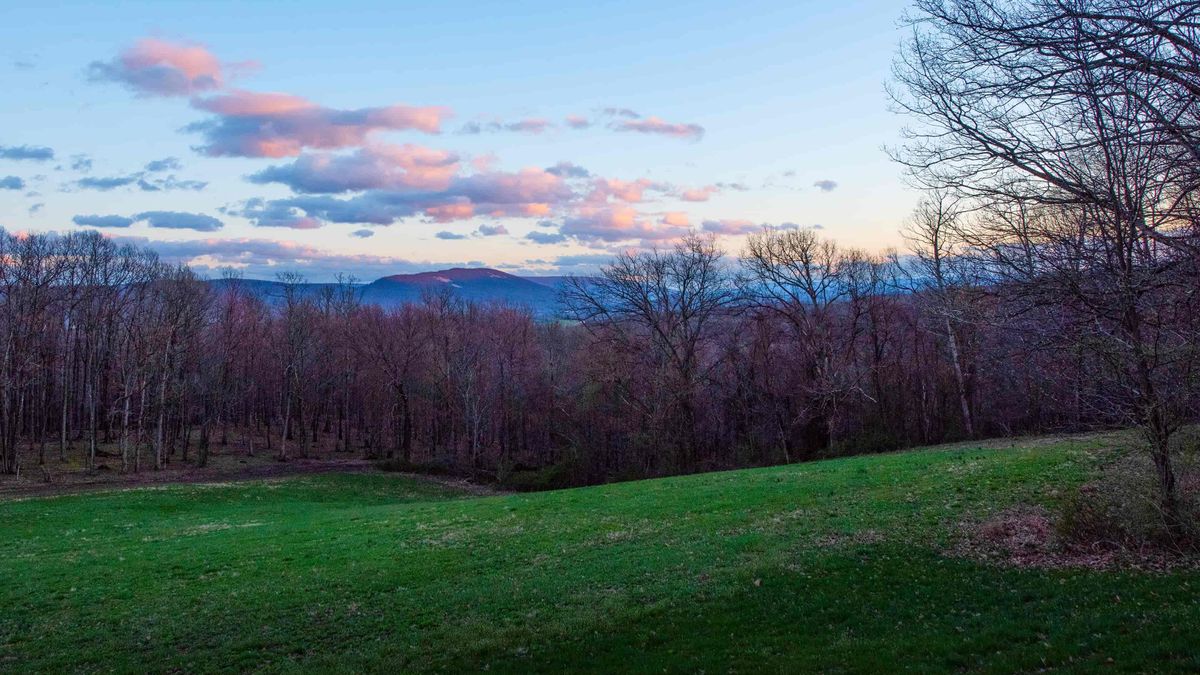 Pennsylvania Whitetail Properties