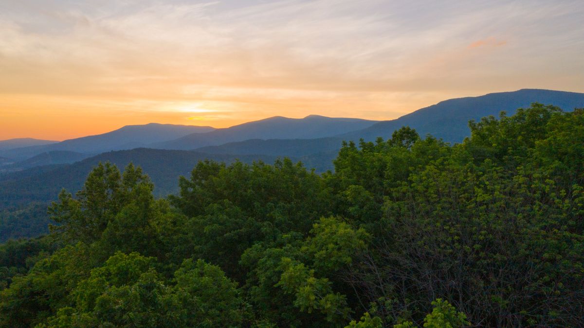 Virginia Land for Sale Whitetail Properties