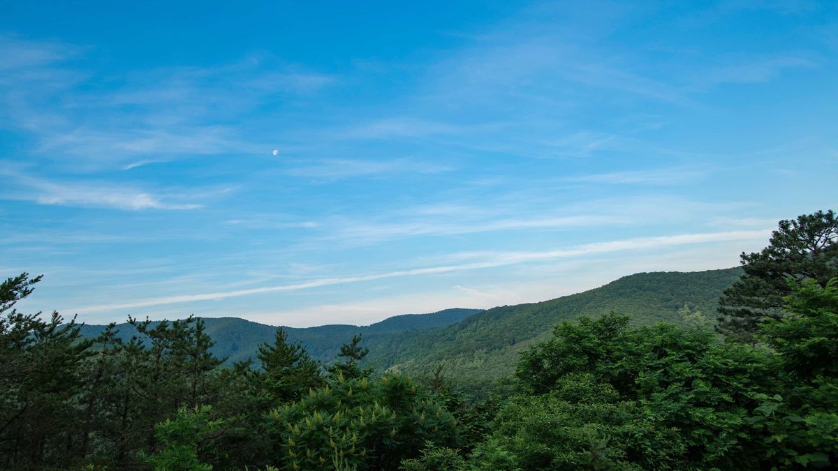 West Virginia Land for Sale Whitetail Properties