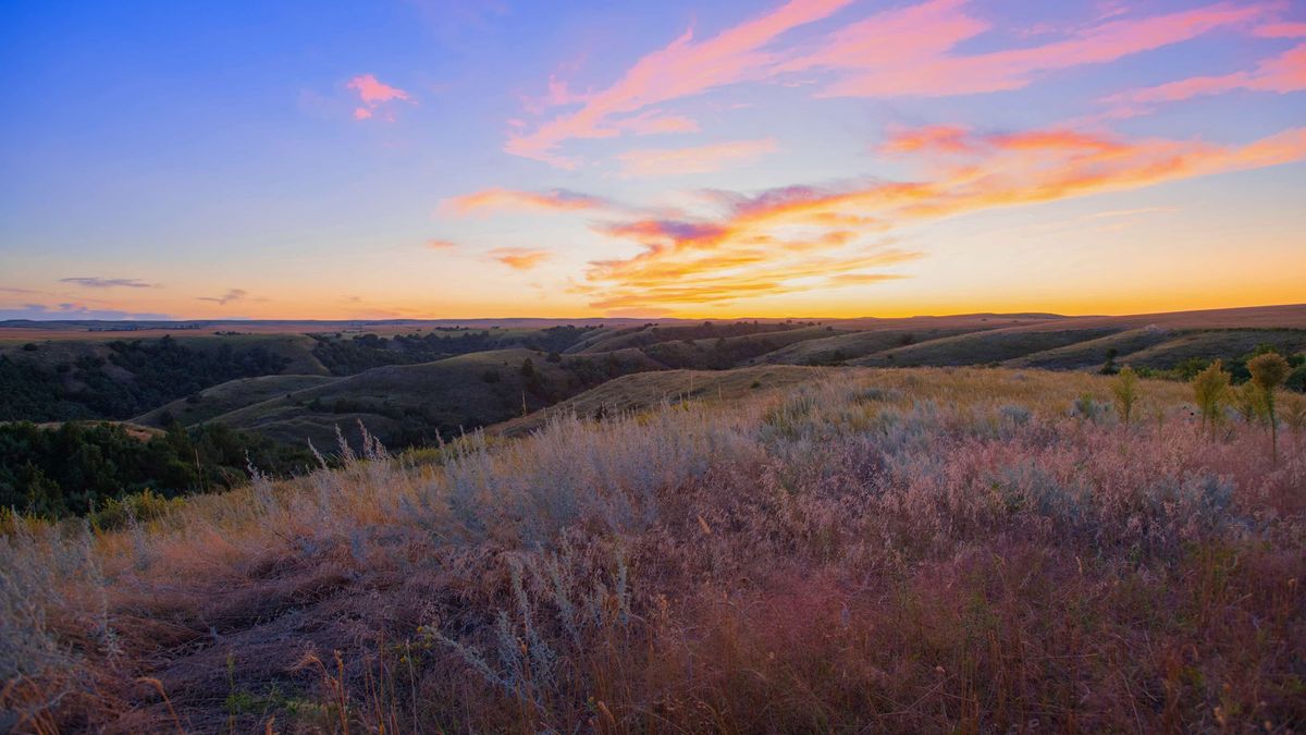South Dakota Land for Sale Whitetail Properties