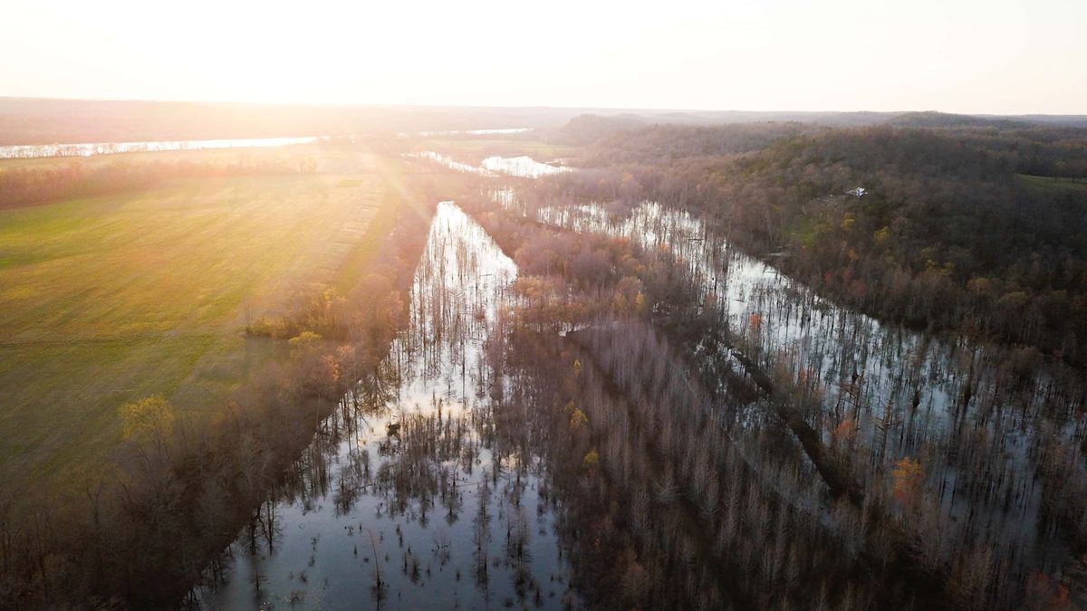 Tennessee Whitetail Properties