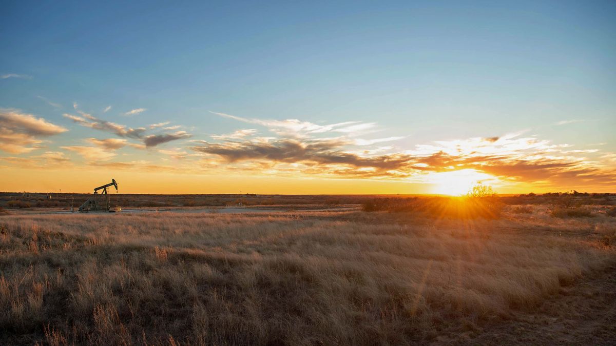 Texas Land for Sale Whitetail Properties