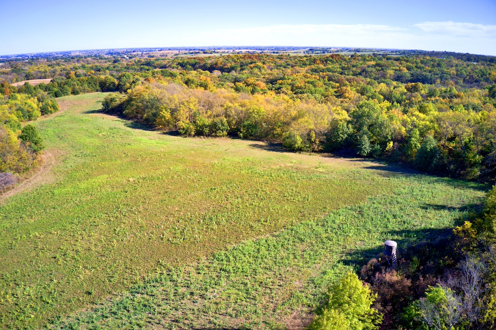 Land for Sale Bowen Rd Lot WP001, Richmond, MO 64085 86.72 acres