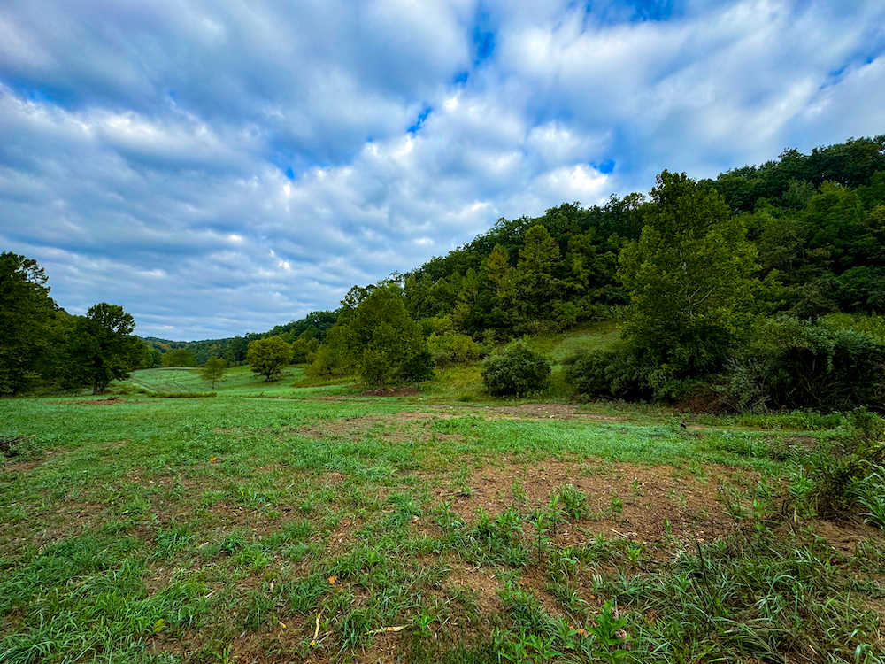 Land for Sale 0 Route 2, Burnsville, WV 26335 26 acres
