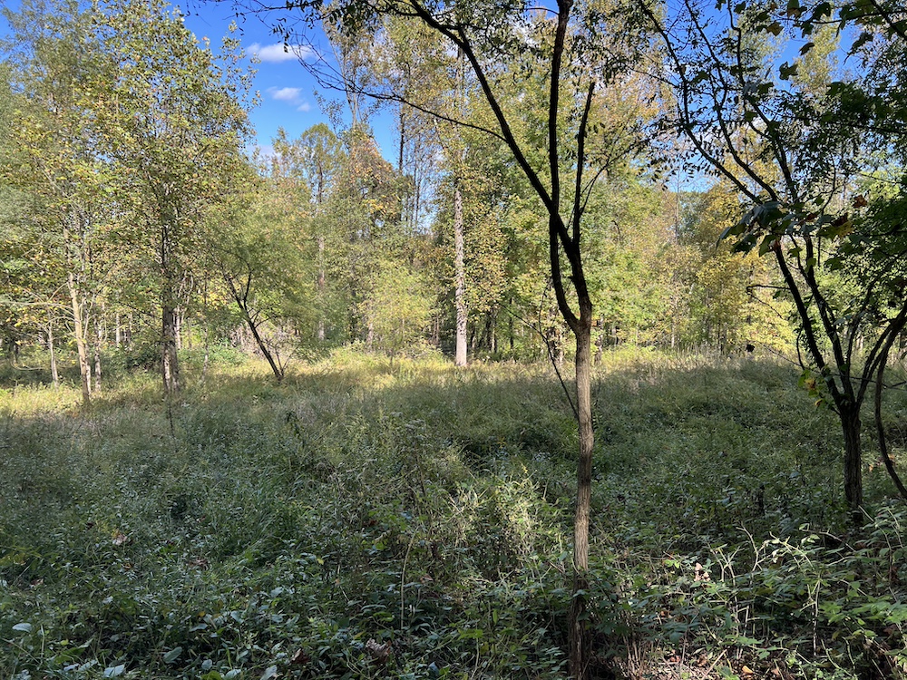 Land for Sale 0 Baker Road, LotWP004, Greenville, PA 16125 5.94 acres