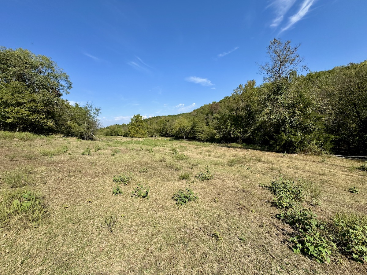Land for Sale TBD State Hwy 59, Noel, MO 64854 80 acres