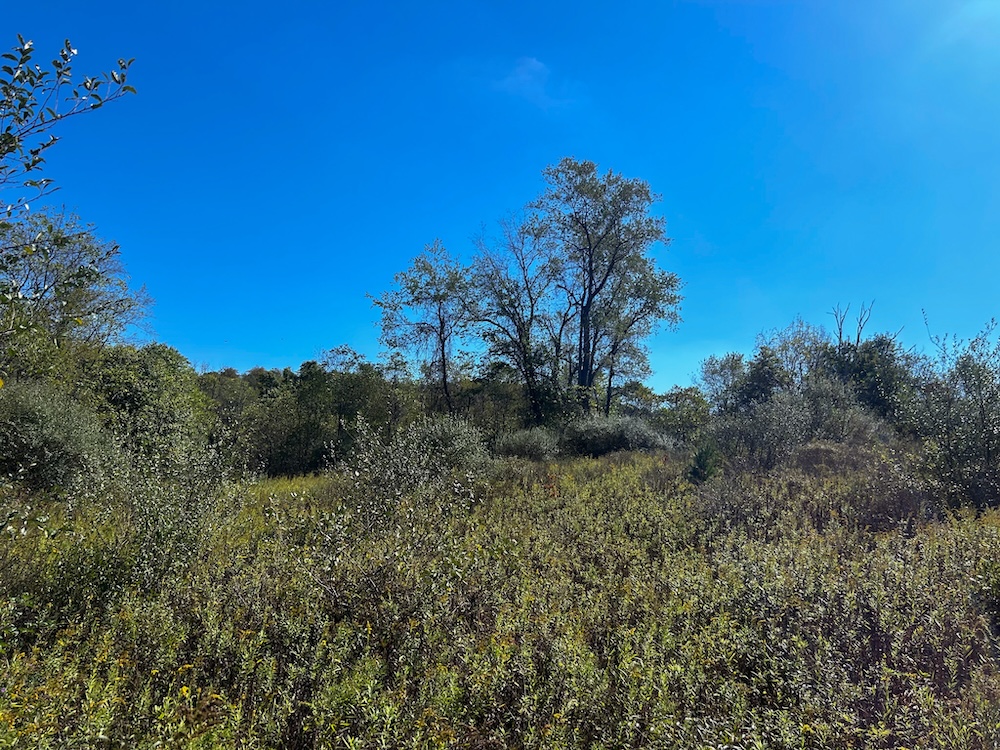 Land for Sale 20520 Speck Road, Freeport, OH 43937 10 acres