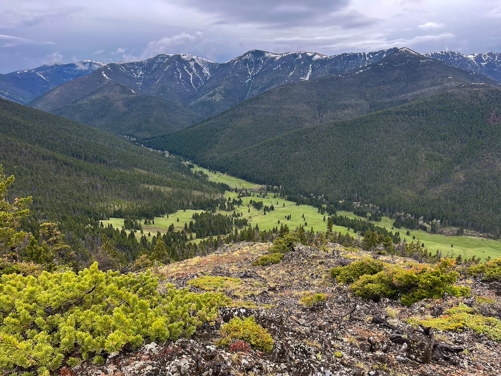 Land for Sale TBD Bear Creek Road, LotWP001, Wolf Creek, MT 59648