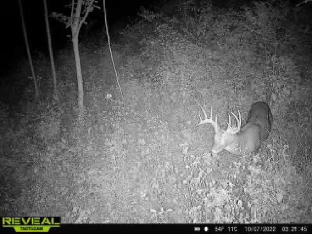 Land for Sale 9096 State Route 41, Aberdeen, OH 45101 93 acres